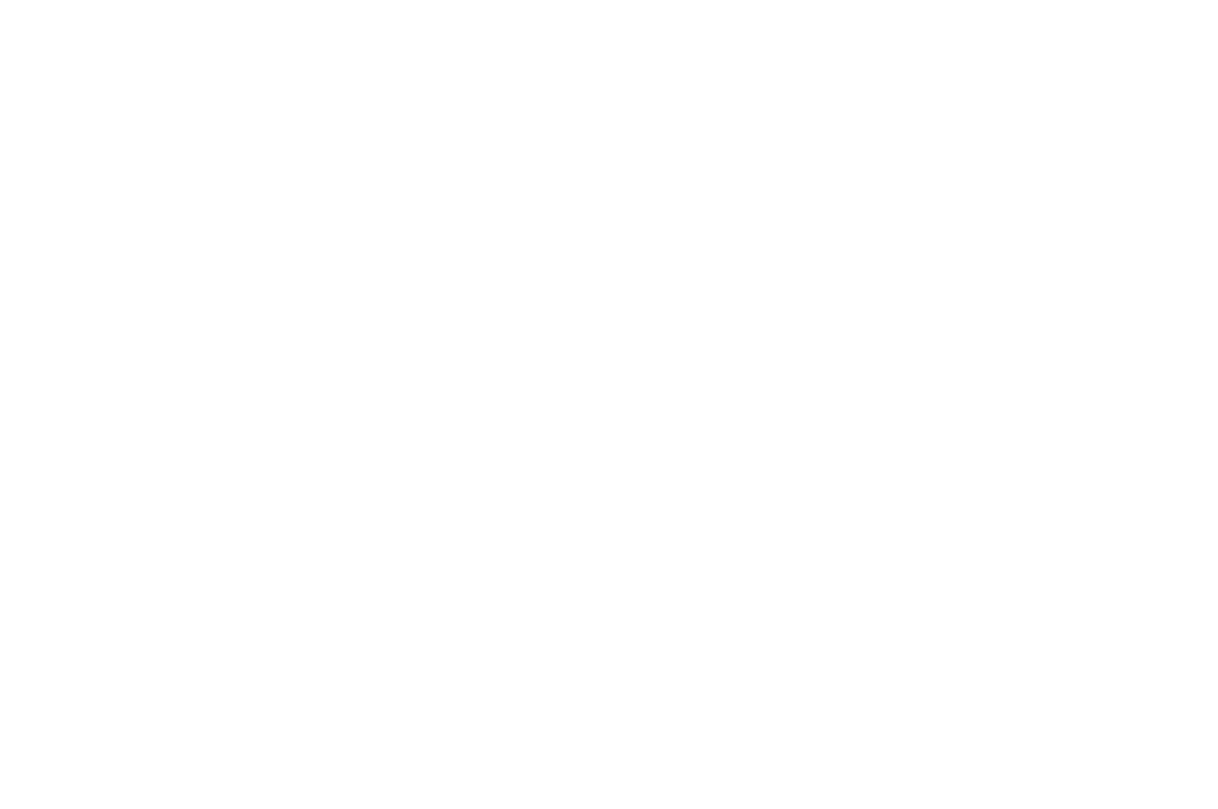 Official Selection — The Flint Short Film Freakout 2026